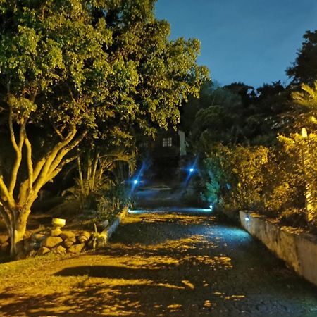 Cabana Vista Verde Cartago Kültér fotó
