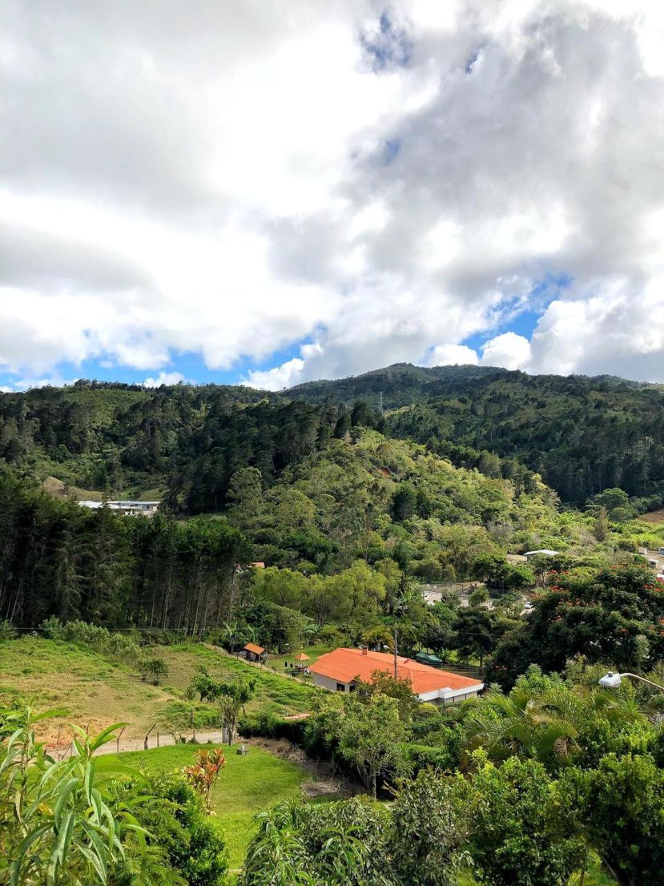 Cabana Vista Verde Cartago Kültér fotó
